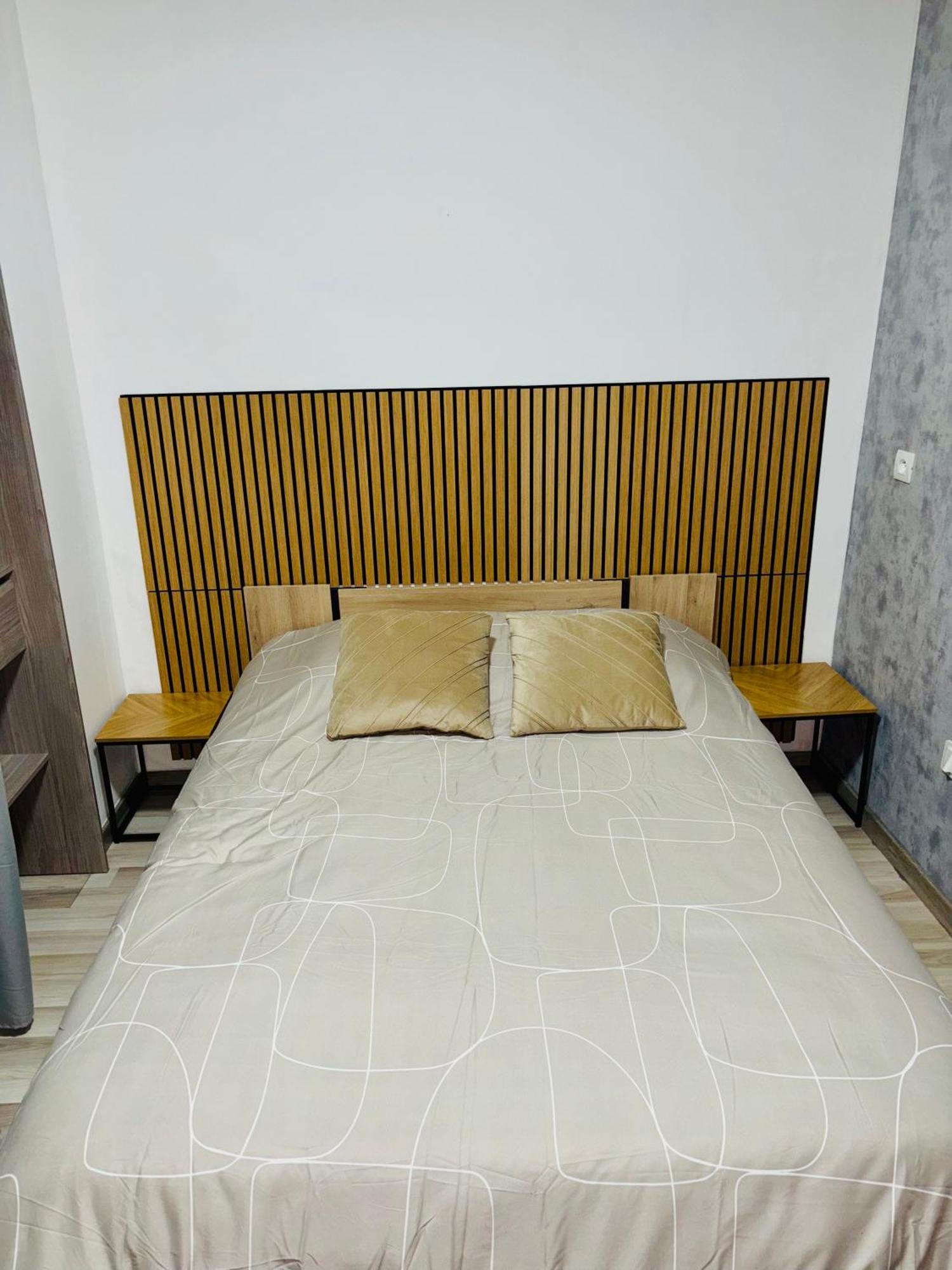 Appartement Moderne Centre Ville De Dijon Extérieur photo